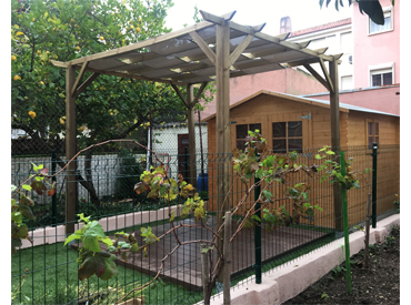 Logradouro: um oásis no betão!