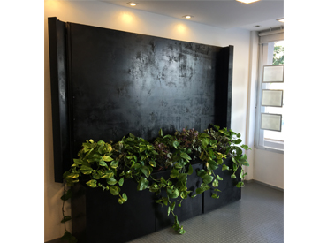 Loja HABIC: Parede Verde I