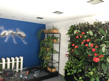 Loja HABIC: Parede Verde II